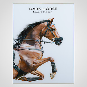Интерьерное Панно "The Dark Horse" 80х60 см 